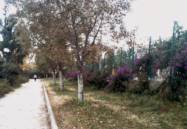 ΕΞΟΡΜΗΣΕΙΣ ΠΡΑΣΙΝΟΥ